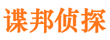 桐柏市调查公司